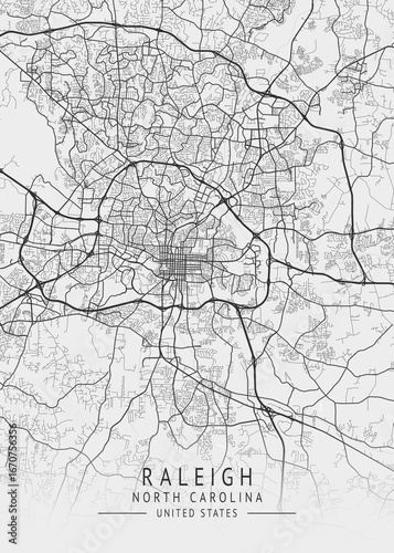 Raleigh - North Carolina - US Gray Map Art