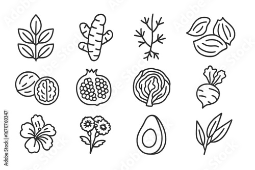 Plant-Based Dye Icons. Line style icons of plant-based dye sources: indigo leaves, turmeric root, madder root, onion skins, walnut