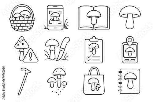 Mushroom Foraging Icons. Line style icons of mushroom foraging: basket with mushrooms, forest ground scan, mushroom identification