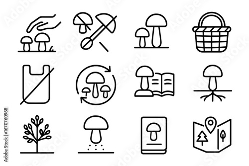 Sustainable Foraging Icons. Line style icons of sustainable foraging practices: only take few icon, cut not pull symbol, leave