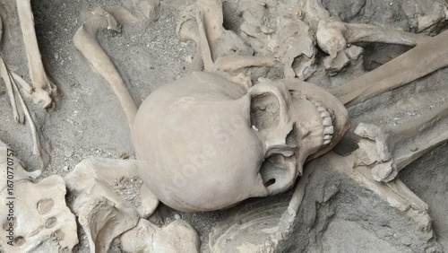 Herculaneum, Italy - 9 January 2025. A skull rests on compacted ash among ribs and limbs, part of the remains from the 79 AD eruption of Mount Vesuvius.