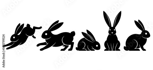 A sequence of five rabbits in different poses isolated on a white plain presentation space