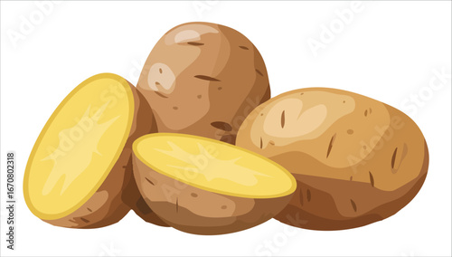 organic potatoes with earthy skin and eyes vector illustration on white background