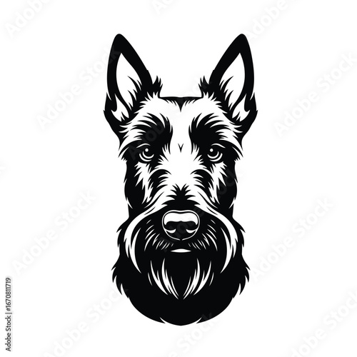Striking black and white vector head of an elegant Scottish Terrier dog with a prominent beard