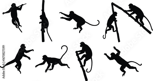 Monkey silhouettes climbing, jumping, crawling, and hanging from branches – wild tropical primates in various action poses on white background