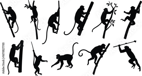 Monkey silhouettes climbing trees, jumping, and hanging on branches, vector collection of jungle wildlife in natural poses and movements