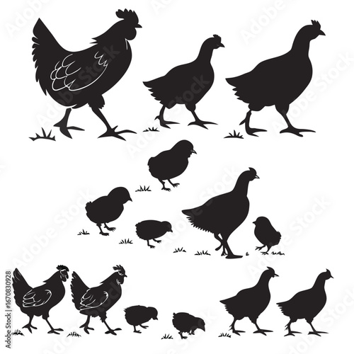 A group of chickens and chicks in various poses on grassy terrain together