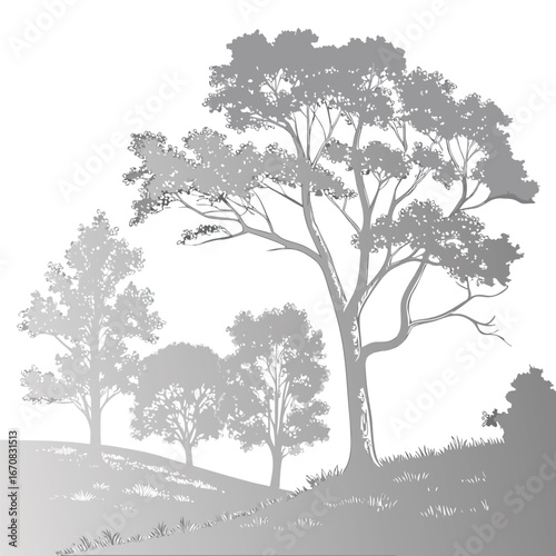 a grayscale illustration of trees on a hillside with grass and a white background