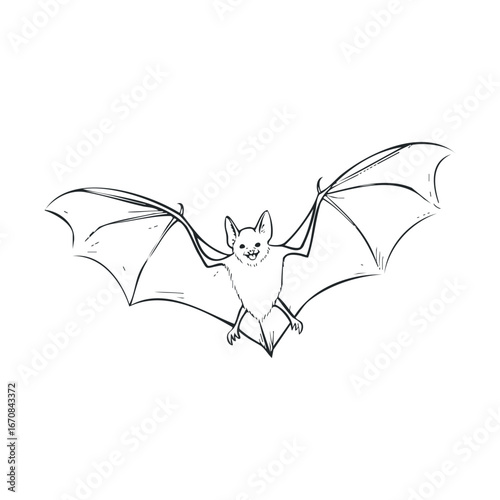 Bat flying in the night sky with extended wings. Halloween vector illustration