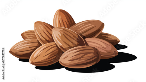 raw natural almonds with skin and shading vector art isolated on white background