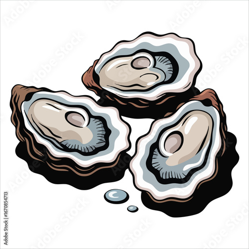 luxury oysters vector art isolated on white background