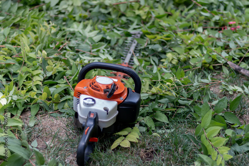 Wallpaper Mural Bush cutter. Weed electric Torontodigital.ca