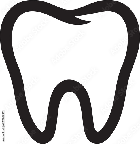 Human teeth anatomy isolated vector illustration on white background