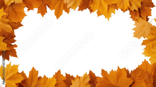 Circular pattern of autumn leaves with transparent center on transparent background
