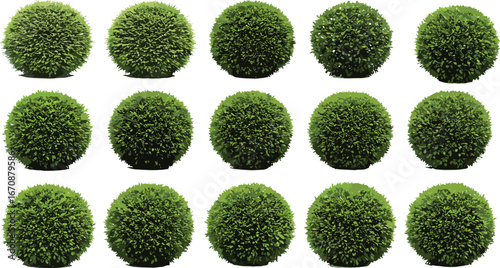 Set of realistic green spherical bush vector illustrations, isolated topiary plants, landscaping design elements, garden shrub decorative clipart