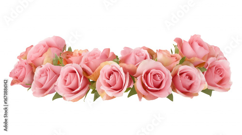 Row of pink roses with green leaves on transparent background