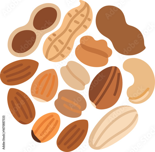 Healthy Mixed Nuts Illustration – Organic Almonds, Cashews, Walnuts, Peanuts Flat Vector Style