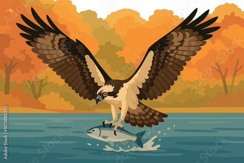 The scene of an osprey catching fish from the sparkling lake water, set amidst vibrant autumn colors, showcases its impressive hunting skills and captures the beauty of nature and wildlife