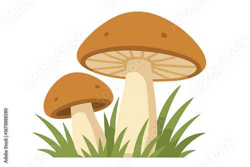 A medium-sized edible mushroom growing in the forest during mid-summer, set against a distinctive backdrop of surrounding nature