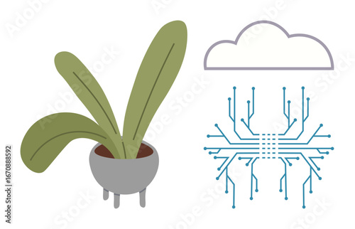 Potted plant beside cloud and electronic circuitry design highlighting tech integration in agriculture. Ideal for farming, sustainability, innovation, IoT, green technology, environment, future
