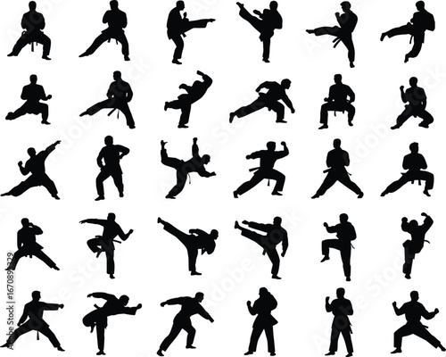 Martial arts silhouettes, karate poses, black belt training, fighting stances, self-defense moves, taekwondo action, combat skills vector set