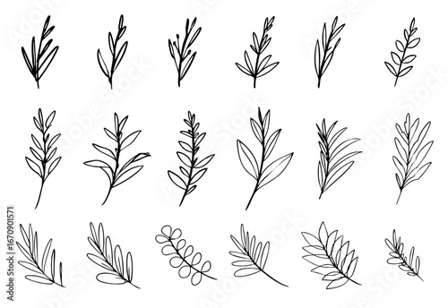 手書きの植物のイラストセット　ベクター黒