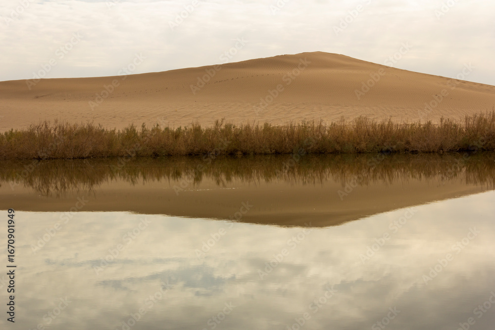 Fototapeta premium Serene desert lakes near Yazd, Iran, surrounded by golden dunes and sparse vegetation under a moody sky—nature’s rare harmony in an arid landscape.