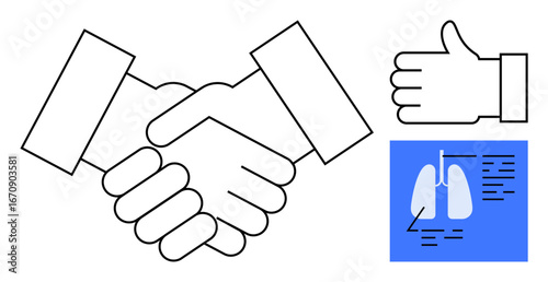 Handshake symbolizing partnership, thumbs-up gesture for approval, lung diagram on blue square for health. Ideal for collaboration, trust, healthcare, approval, teamwork, science simple landing page