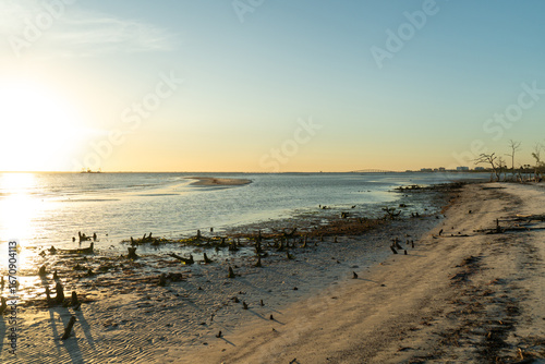 Sunset Over Sandy Shoreline with Driftwood and Ocean Horizon - Coastal landscape with a leafless tree standing on sandy shoreline during golden hour. Warm sunset light reflects on the ocean