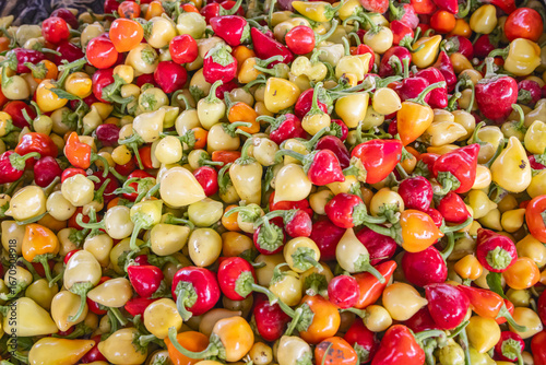 Fresh ripe red and yellow chili peppers for sale at a market in Nish.
