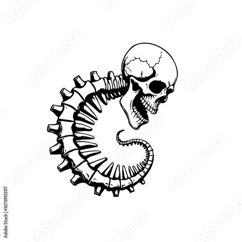 Intricate skeletal curl design featuring a skull atop a curved spine illustration with detailed