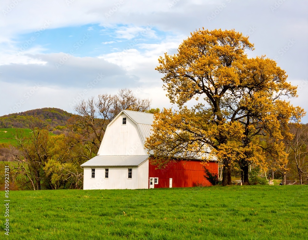 Obraz premium Rustic barn and autumnal tree