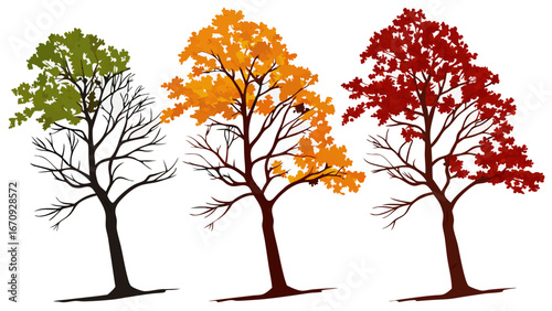 Three stylized trees in different seasons autumn foliage spring summer fall nature illustration design element.