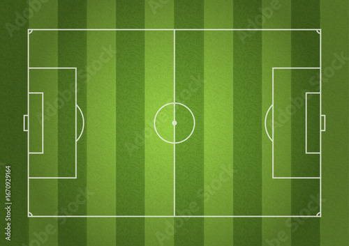 Football stadium. Soccer field. Green grass with line isolated on white background for design prints.