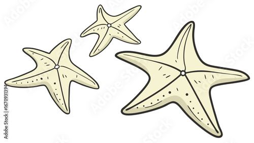 Three starfish illustration ocean life sea design marine animal underwater world beach theme summer graphic.
