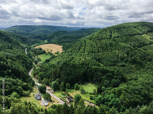 Landscape photo of Rheinland Pfalz in Germany, area close to river Mosel full of forest, hills and mountains. Road going through the landscape passing few houses placed in nature.