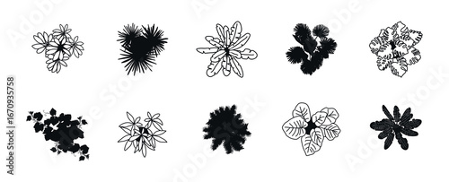 Set of different indoor plants, top view. For landscape, architectural, and interior design. Flat vector illustrations, hand-drawn and isolated on a transparent background
