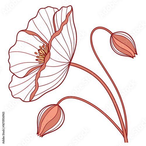 A poppy flower icon with a delicate, wavy petal structure.