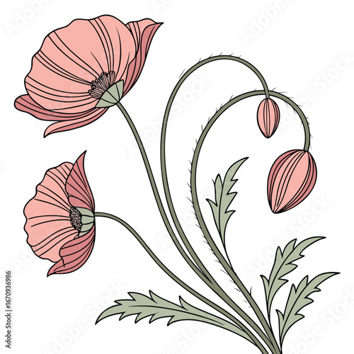 A poppy flower icon with a delicate, wavy petal structure.
