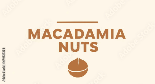National day of macadamia nut september 4th vector buy premium quality macadamia nuts online fresh roasted and raw macadamia nuts for healthy snacking options
