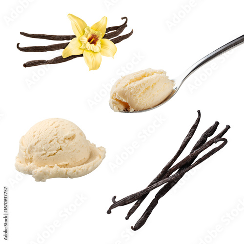 Vanilla beans, vanilla flower, and vanilla ice cream scoops in bowl and spoon, isolated on transparent background, spice and dessert ingredient concept