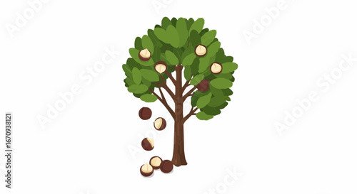 National day of macadamia nut september 4th vector illustration of macadamia nut tree with falling nuts for healthy eating and organic food concept art design