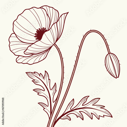 A poppy flower icon with a delicate, wavy petal structure.