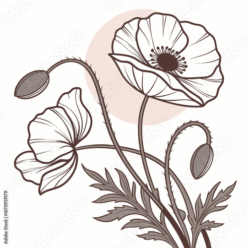 A poppy flower icon with a delicate, wavy petal structure.