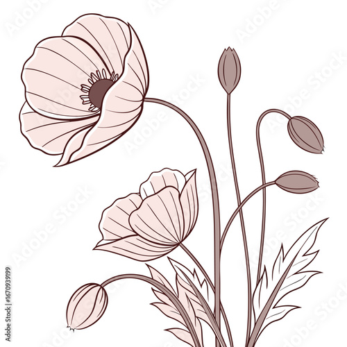 A poppy flower icon with a delicate, wavy petal structure.