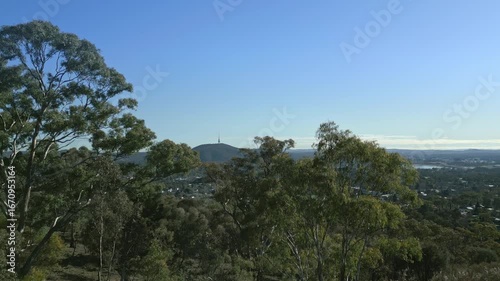 Telecommunication tower on the hill framed between two trees with Canberra in the background.