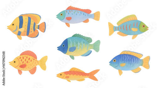 Watercolor colorful fishes, beautiful isolated fishes, hand-drawn design elements.