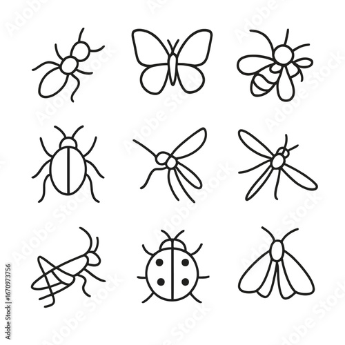 Bug and Insect Line Icons