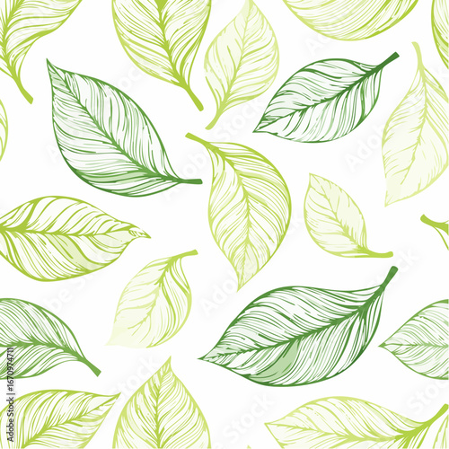 Watercolor seamless pattern of fresh peppermint leaves isolated on background detail of beauty
3
