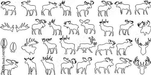 moose, elk, deer, animal, wildlife, nature, forest, wilderness, antlers, majestic, strong, large, standing, walking, running, jumping, grazing, head, hoof print, silhouette, outline, line art, illustr